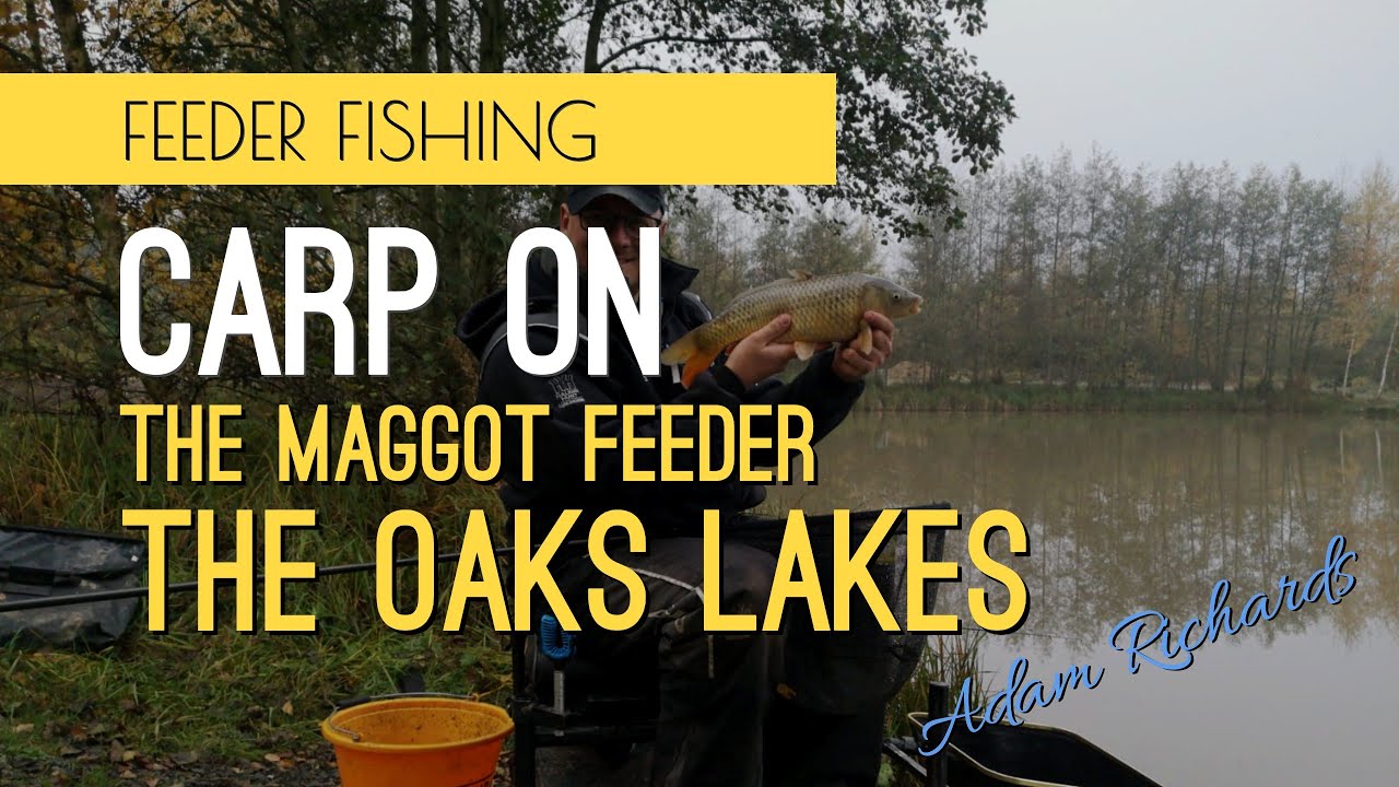 Winter feeder fishing - Maggot feeder