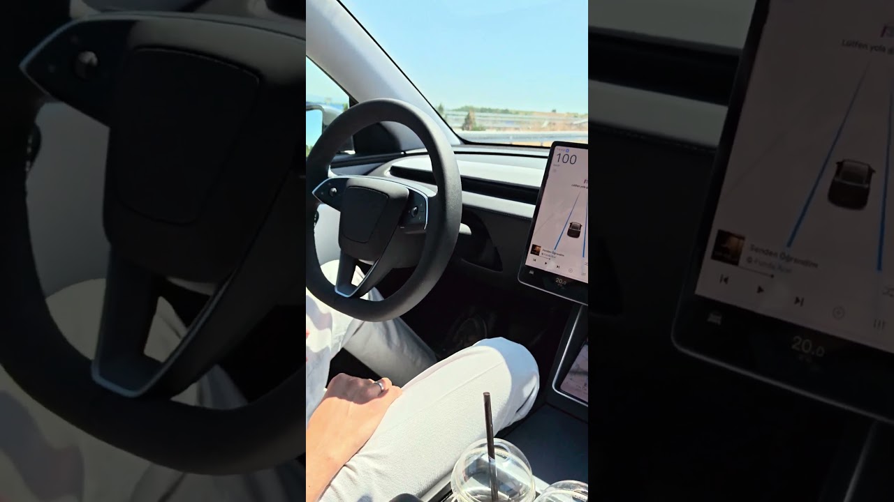 Tesla Autopilot A&ccedil;ıkken S&uuml;r&uuml;c&uuml; Bayılırsa Ne Olur? | Ger&ccedil;ek Test!
