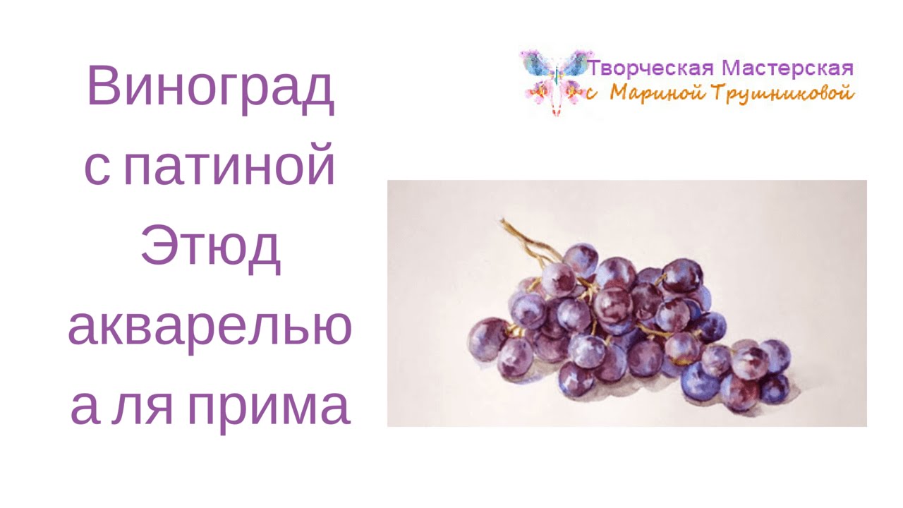 Виноград с патиной  Этюд акварелью а ля прима