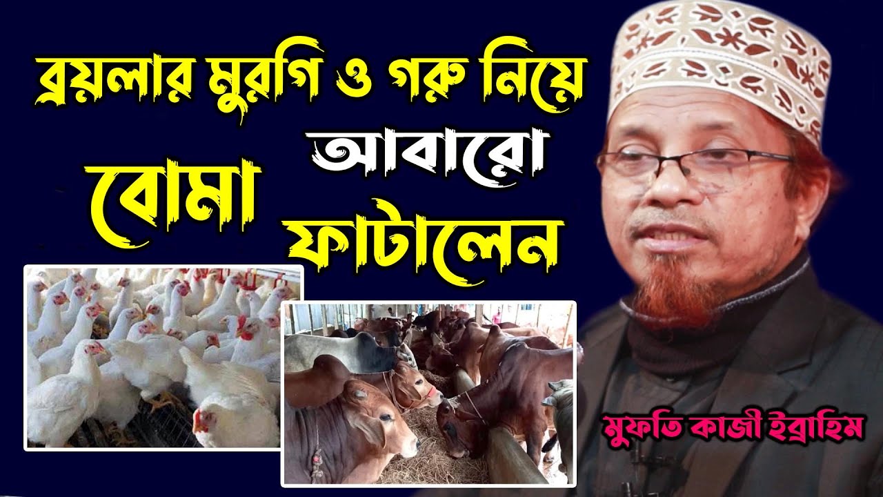 ব্রয়লার মুরগি ও মোটাতাজা গরু নিয়ে বোমা ফাটালেন মুফতি কাজী ইব্রাহিম | Mufti Kazi Ibrahim | Sign Media
