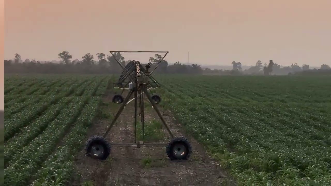 T100 #drone #fpv #agriculture 