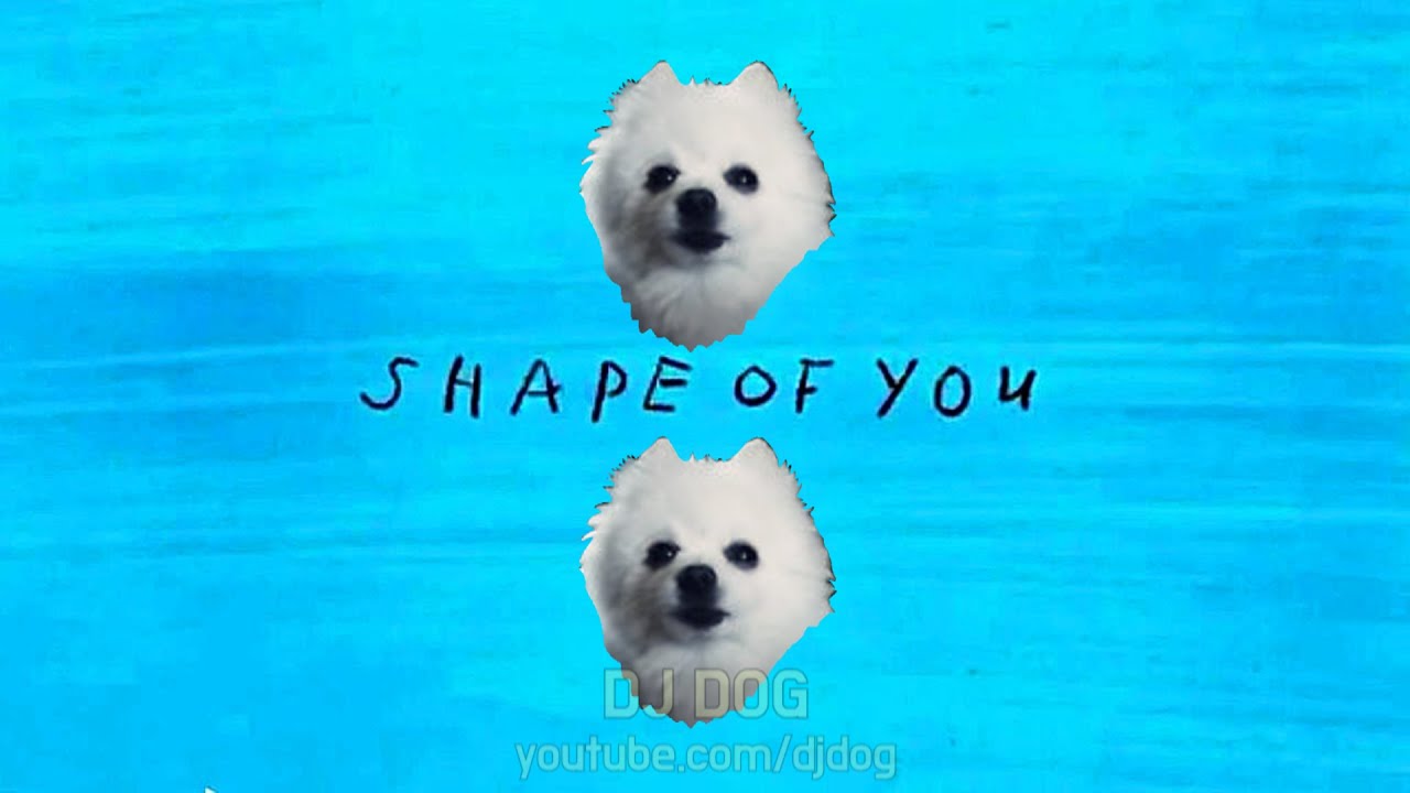 Gabe the Dog - Shape of You (Cover)