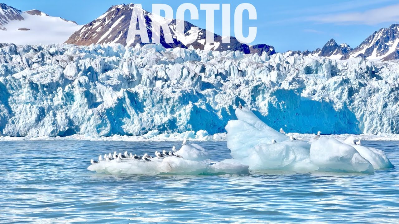 Arctic Trip 2024 | Svalbard | Jan Mayen | Polar Bear