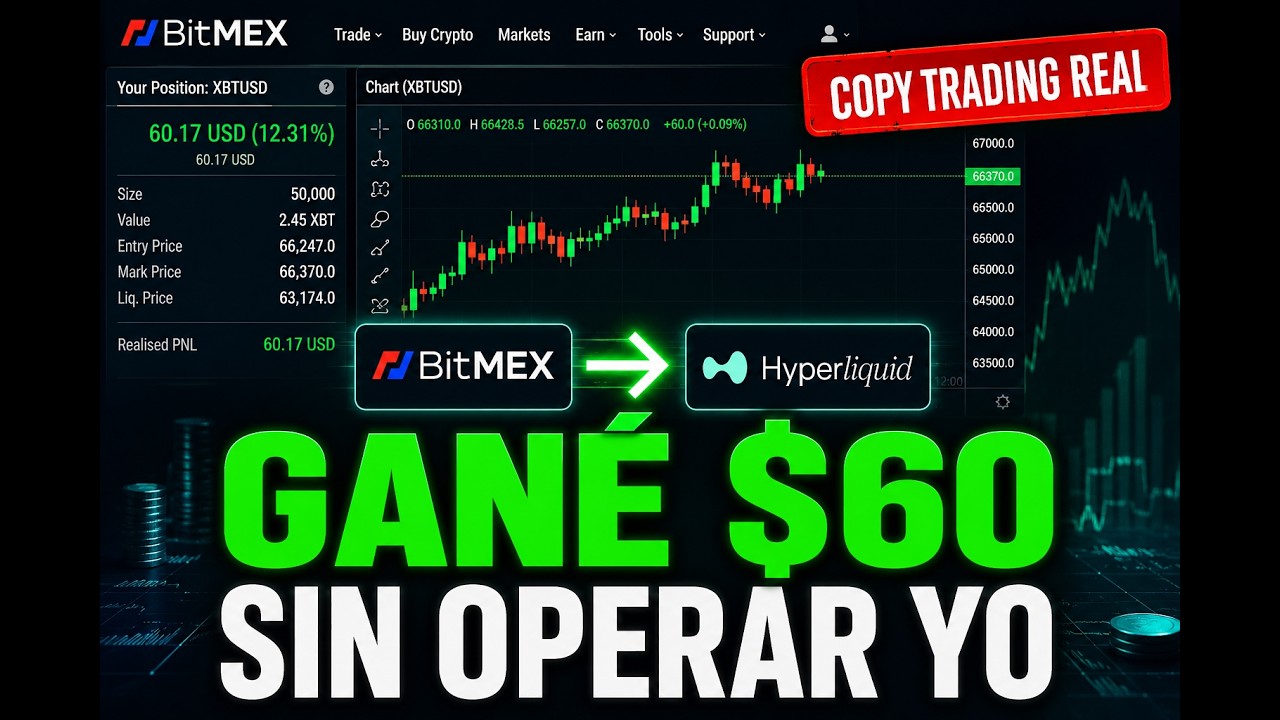 I Made $60 with Copy Trading on Hyperliquid Without Touching a Chart &mdash; BitMEX Tutorial
