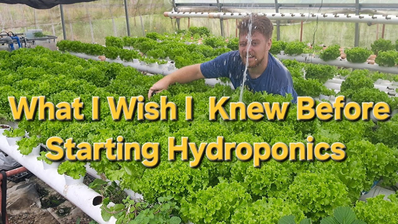 ​Why Most Beginner Hydroponic Gardens Fail
