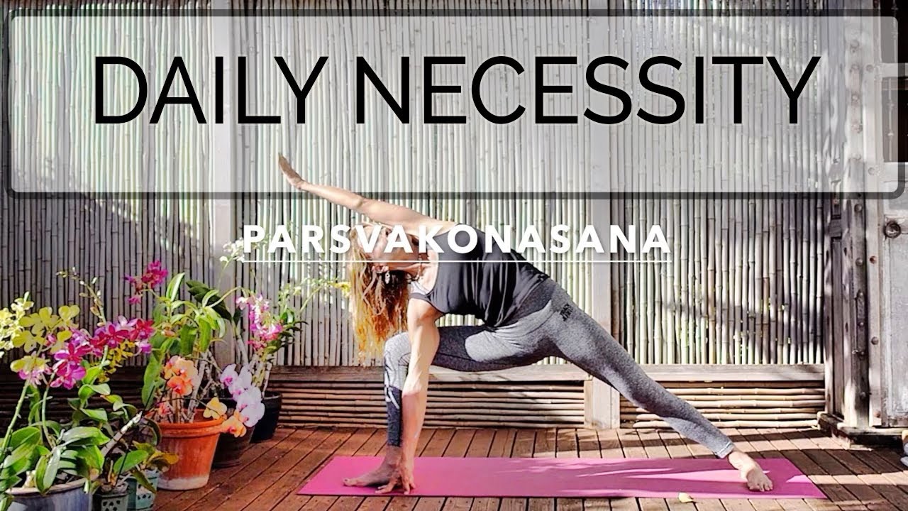 Daily Necessity Yoga Practice | Intermediate and Advanced |  52 min |  Cat de Rham |  OYT