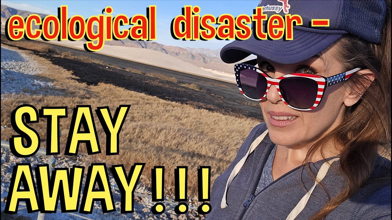 WHAT VALENTINE?! Trying to Buy a Burning Man Ticket, and Checking Out Burned Up Tecopa Hot Spring