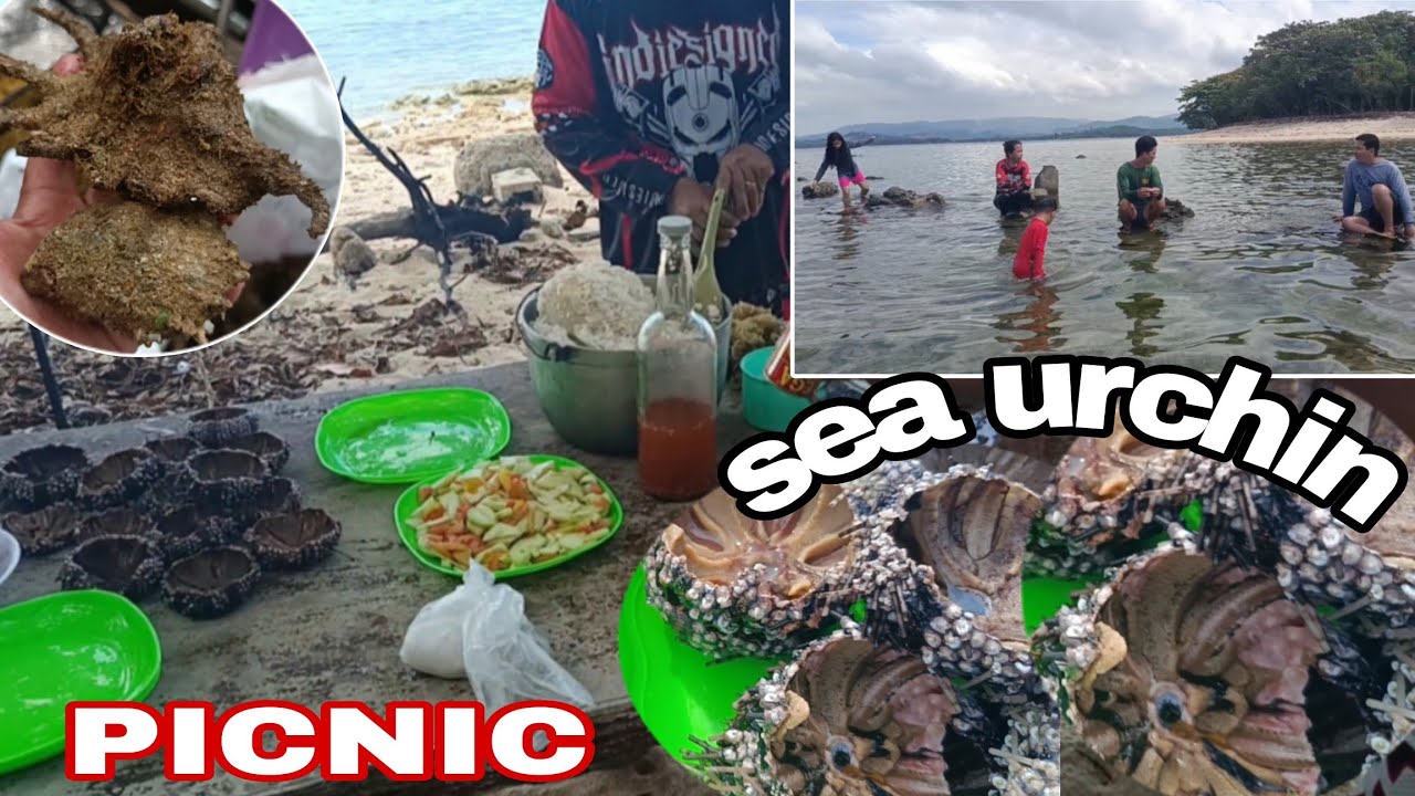 Nag picnic sa island kasama si Bal at Melot