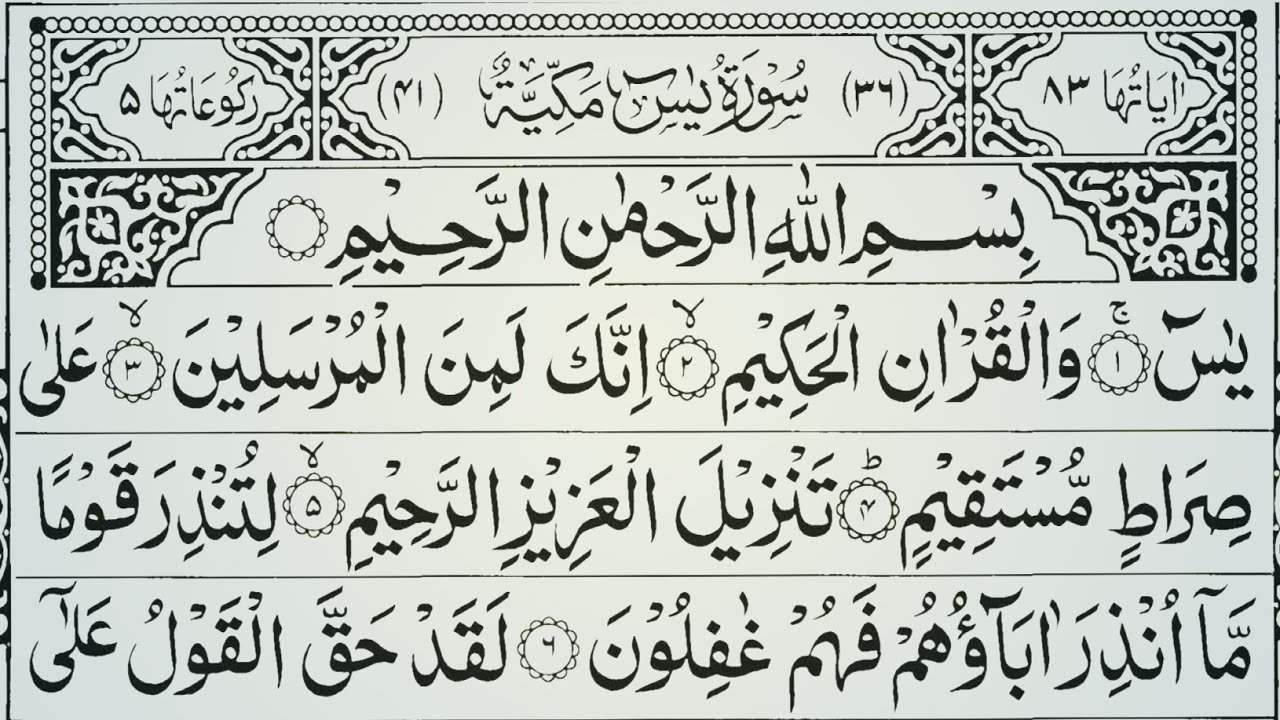 Surah Yaseen Heart Soothing Tilawat With Arabic Text📖 Surah Ar-Rahman 🎁 Shab e Barat 💫 Vol.773