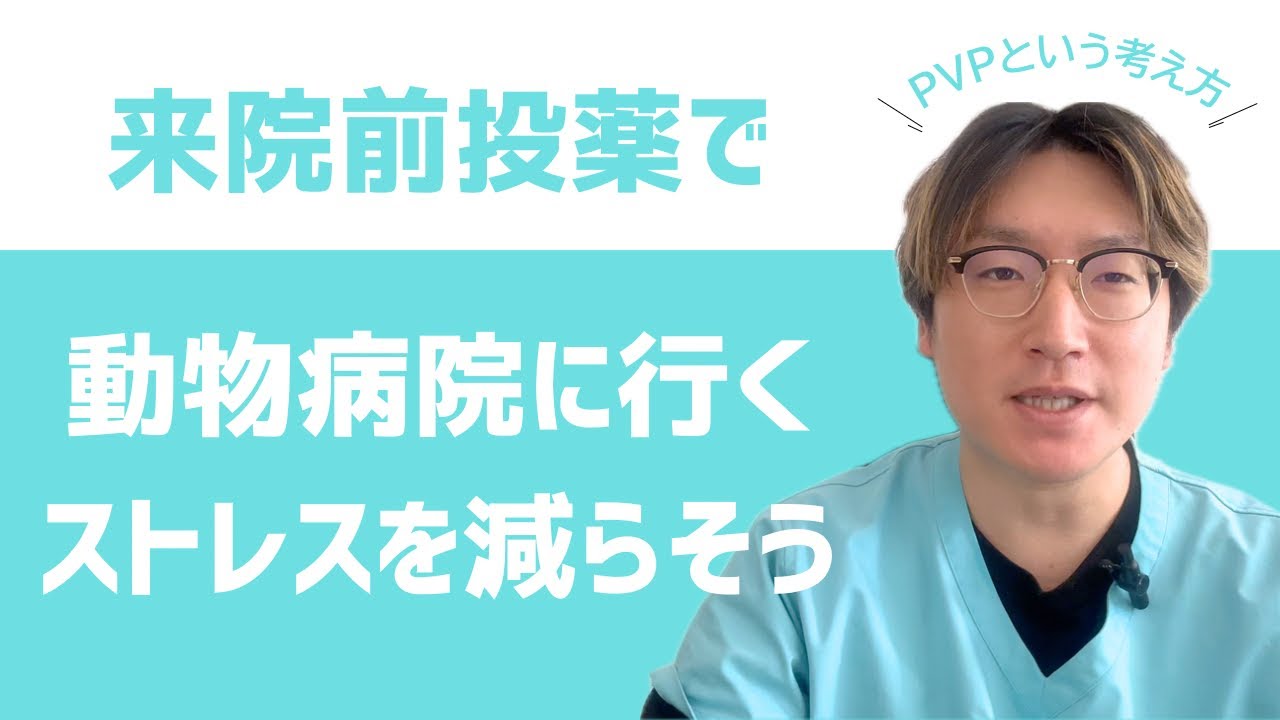 来院前投薬で動物病院に行くストレスを減らそう　PVPという考え方　【獣医のプチ解説】