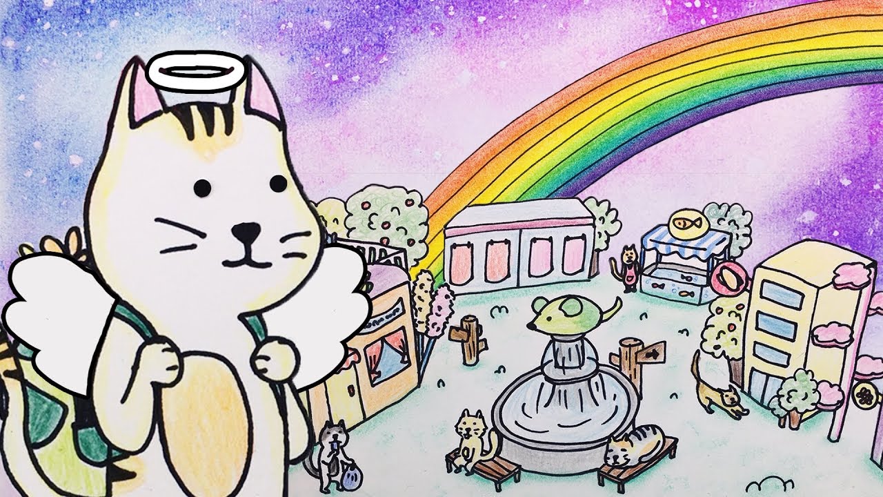 ★무지개다리★ 스톱모션 (고양이 시점) [Rainbow Bridge stop motion(cat)] :: 셀프어쿠스틱
