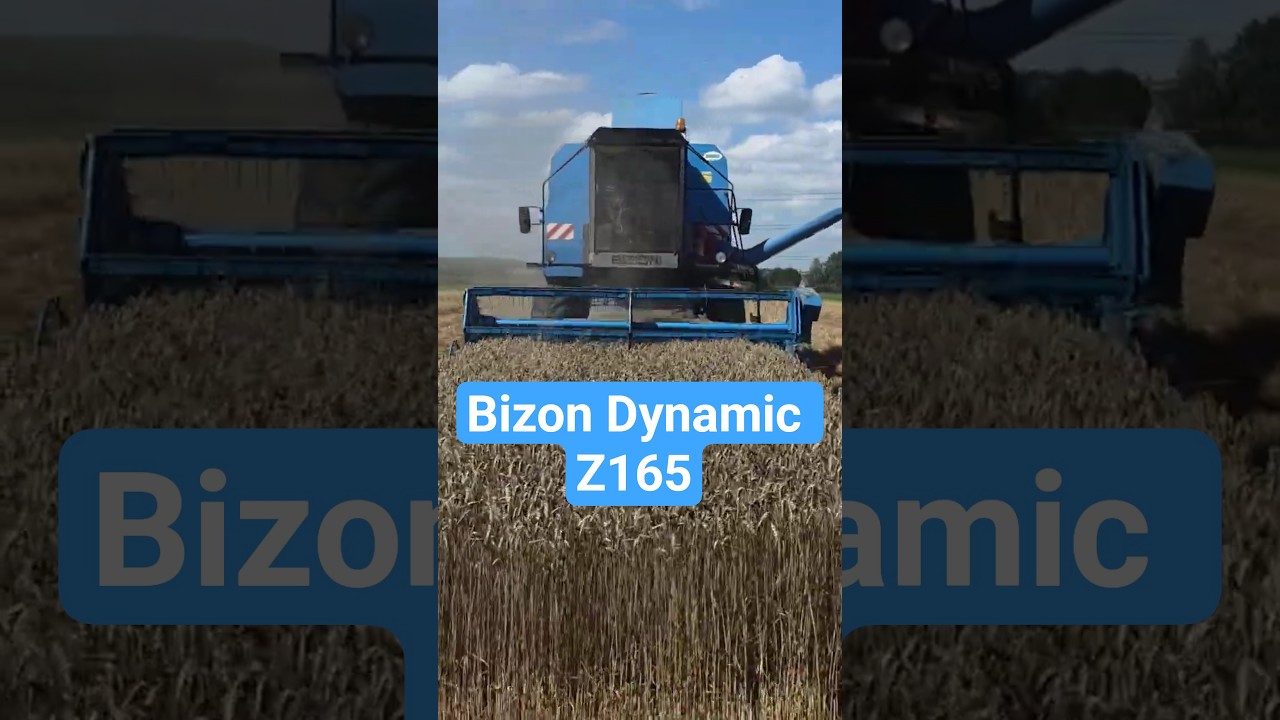 ŻNIWA 2025 | Bizon Dynamic LX Z165 #Bizon #BizonDynamic #LXZ165 #Żniwa2025 #Małopolska #nowynabytek