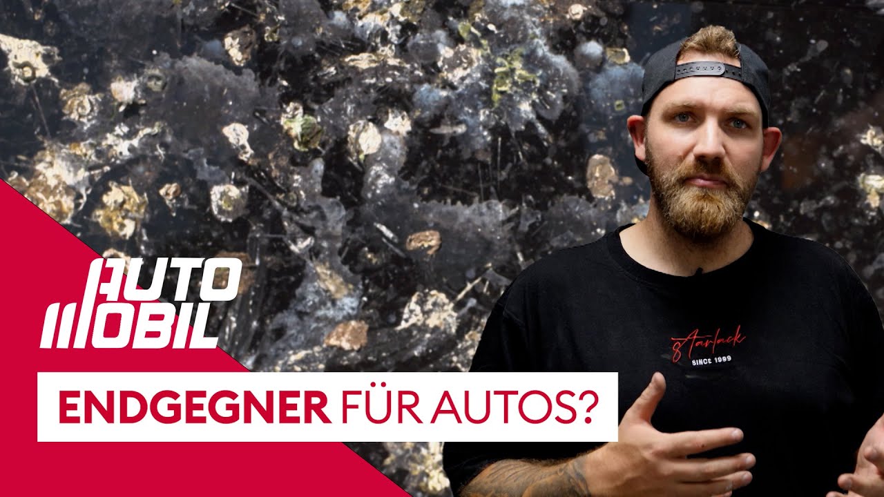 DER ENDGEGNER FÜR AUTOS! - Was hilft bei Vogelkot auf dem Lack? | auto mobil