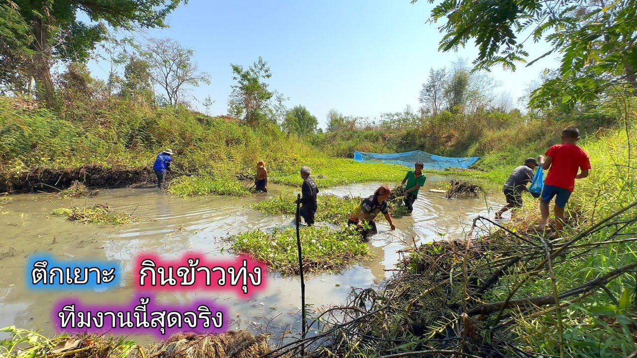 ทีมงานนี้สุดจริง ตึกเยาะห้วยหม้อทอง  กินข้าวทุ่งจัดเมนูเด็ดๆ