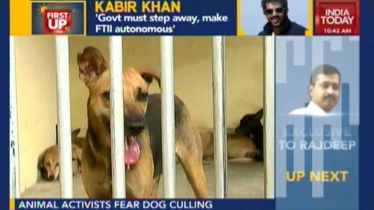 Kerala To Cull Dog Menace In The State