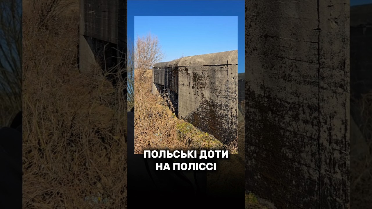 Польські доти на Поліссі