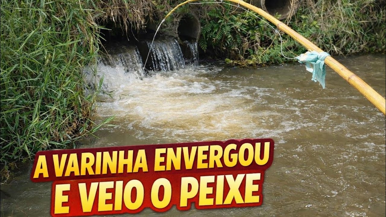 🎣😃Era só colocar na água e pegar Pescaria cheia de ação e zoeira , pescaria raíz.😂
