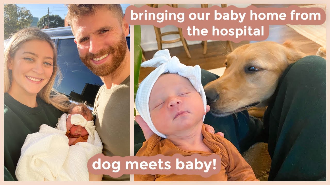 BRINGING OUR BABY HOME FROM THE HOSPITAL | dog and baby meet!!! first moments at home