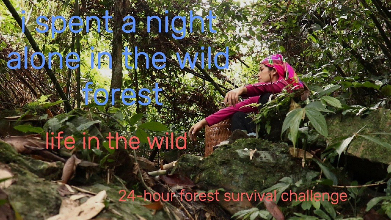 Living 24 Hours Alone in the Forest  Wild Food Survival