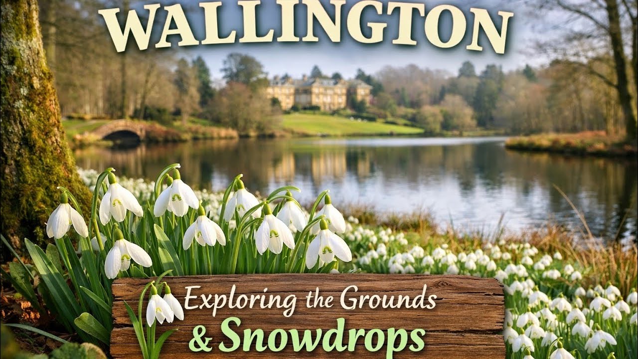 🌿 Snowdrops at Wallington | Exploring the Beautiful National Trust Grounds