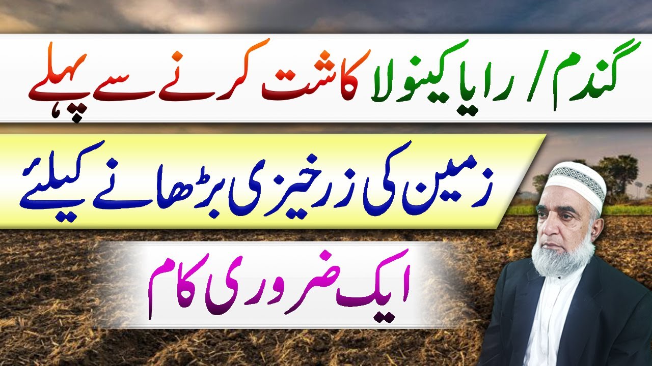 How to increase Fertility of Soil before cultivation of Next crop || Crop Reformer