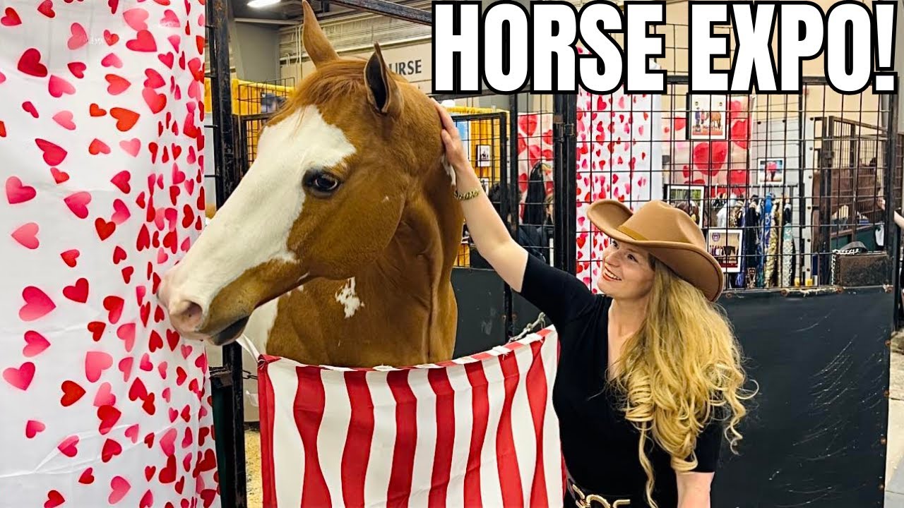 Выставка лошадей Equine Affaire 2024 в Огайо! Шопинг, демонстрации, лошади и многое другое