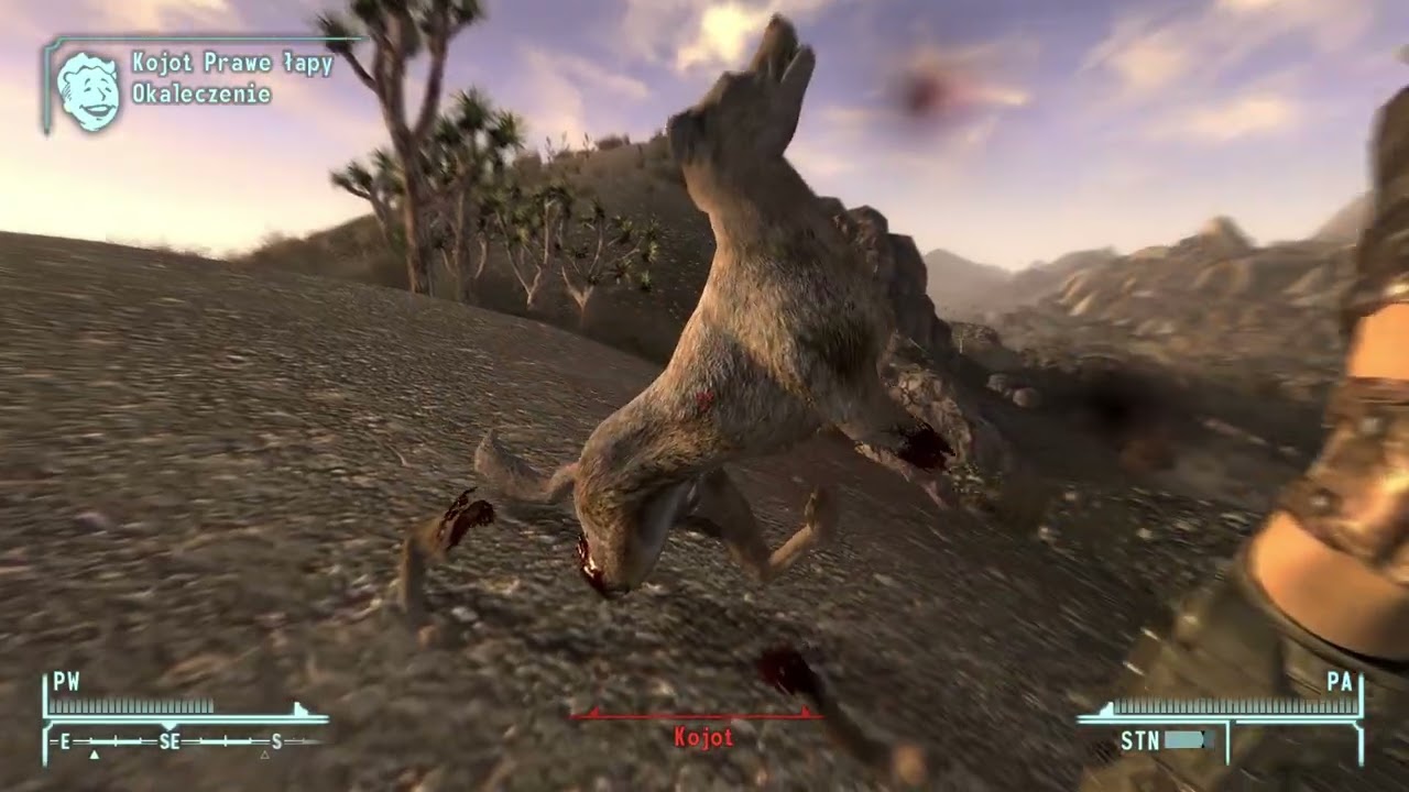 Fallout: New Vegas