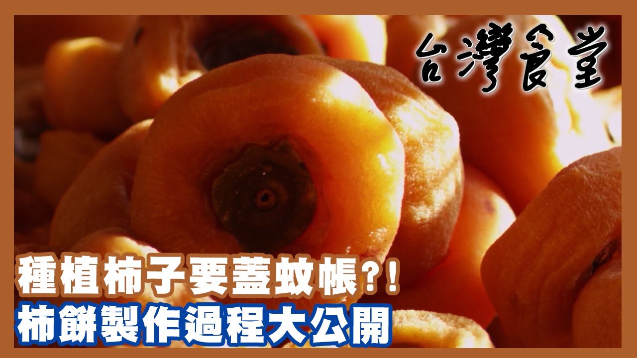種植柿子要蓋蚊帳?! 柿餅製作過程大公開｜24節氣食材故事《台灣食堂》