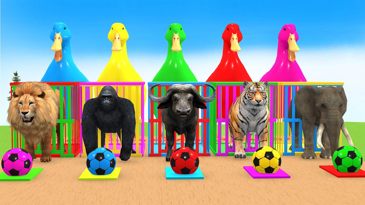 Long Slide Game With Cow Elephant Gorilla Hippopotamus Tiger 3d Animal Game Funny 3d Animals