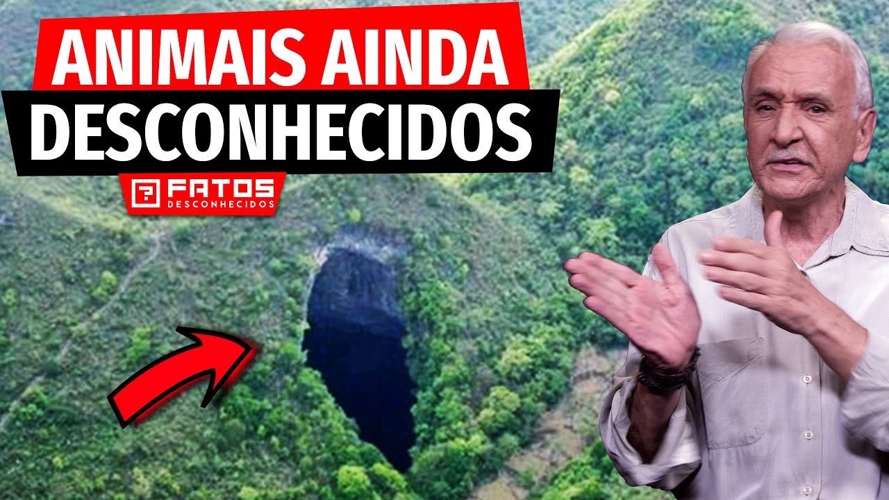Floresta antiga com &aacute;rvores de 40 metros &eacute; encontrada em sumidouro na China