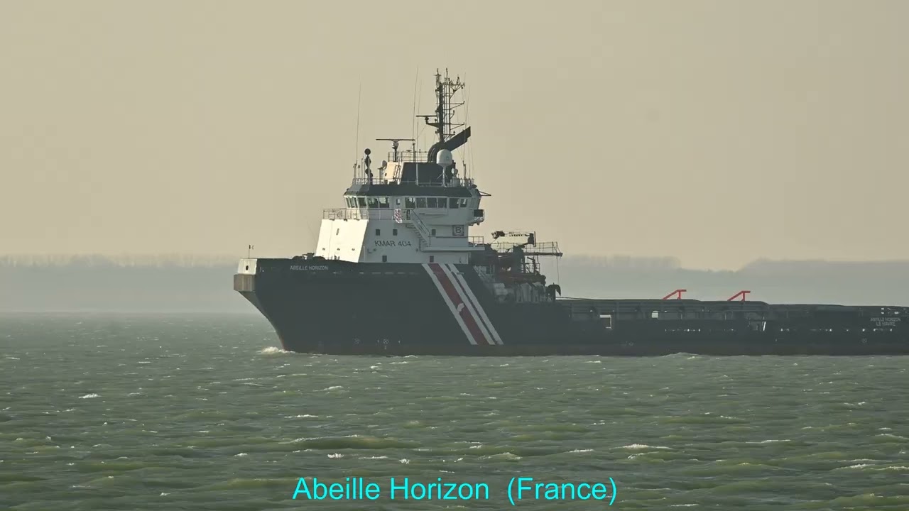 Ship movements / Between Rotterdam and Antwerp / Abeille Horizon  / Shipspotting