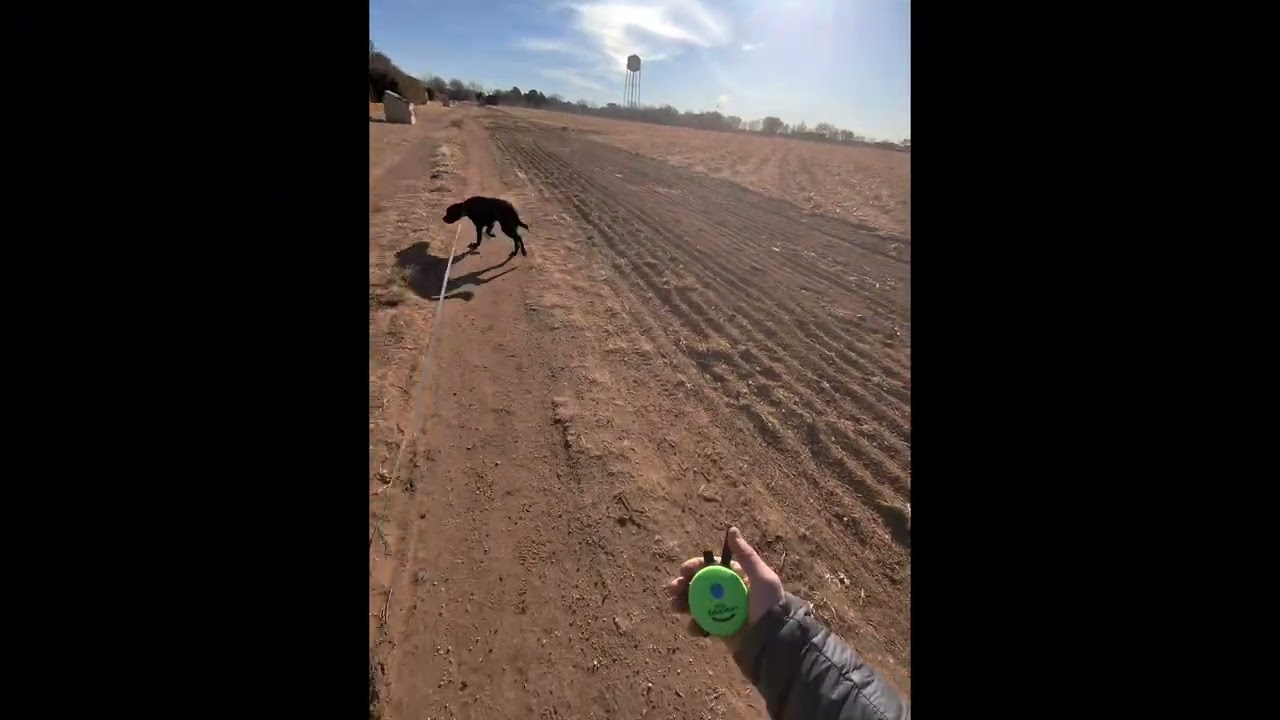 03 Bob works on recall