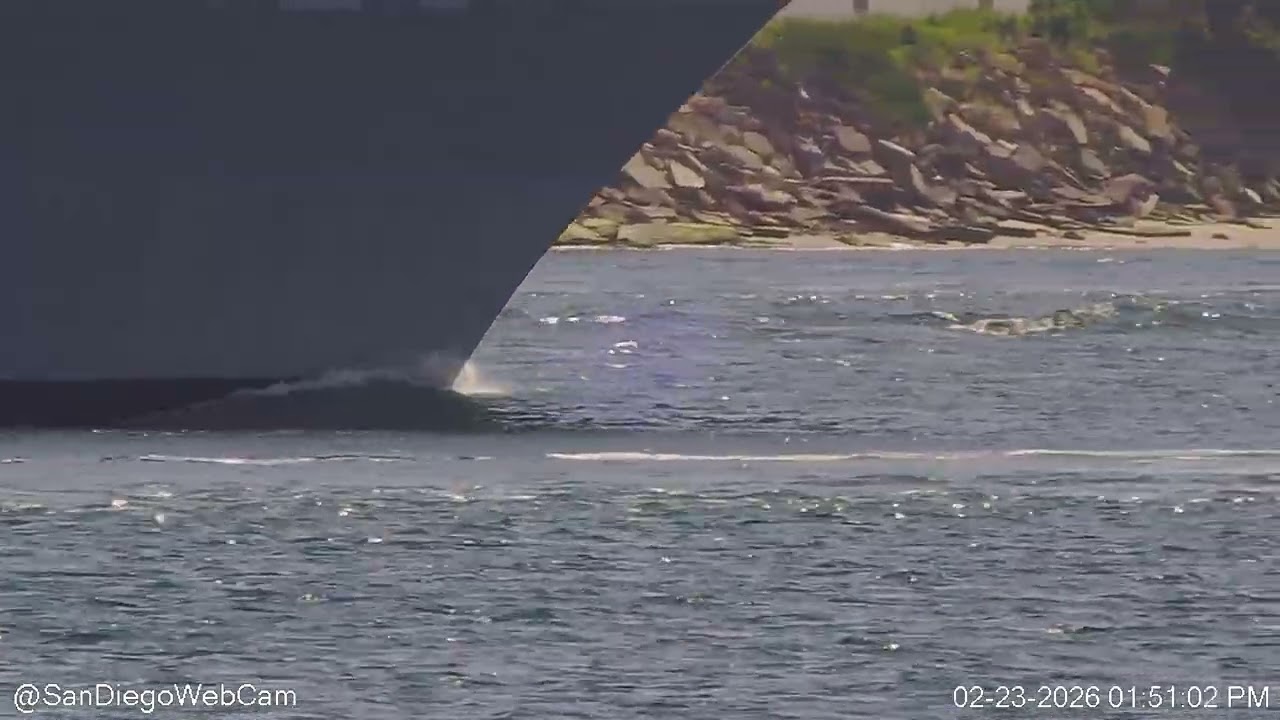 Uncut:  Dolphins Escort USS Jack H. Lucas (DDG-125) Outbound