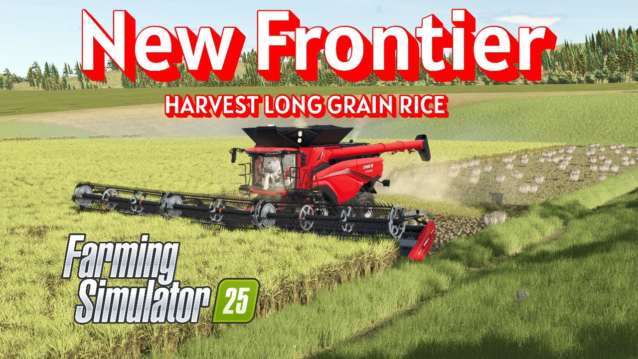 New Frontier  | HARVEST DONE | EXPAND FIELDS  |     #FS25#INDIA#GAMING