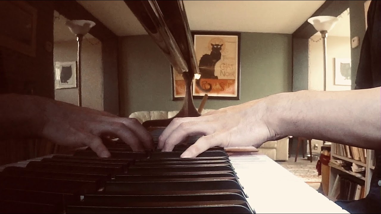Im wunderschönen Monat Mai (piano solo version) - Robert Schumann