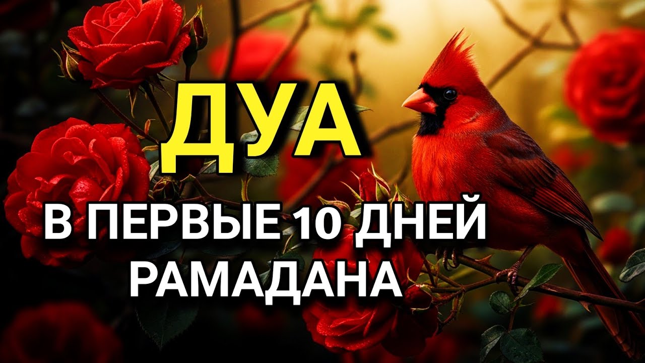 💙🔑 ДУА В ПЕРВЫЕ 10 ДНЕЙ РАМАДАНА ДЛЯ ИСПОЛНЕНИЯ ЖЕЛАНИЙ 🤲✨💯
