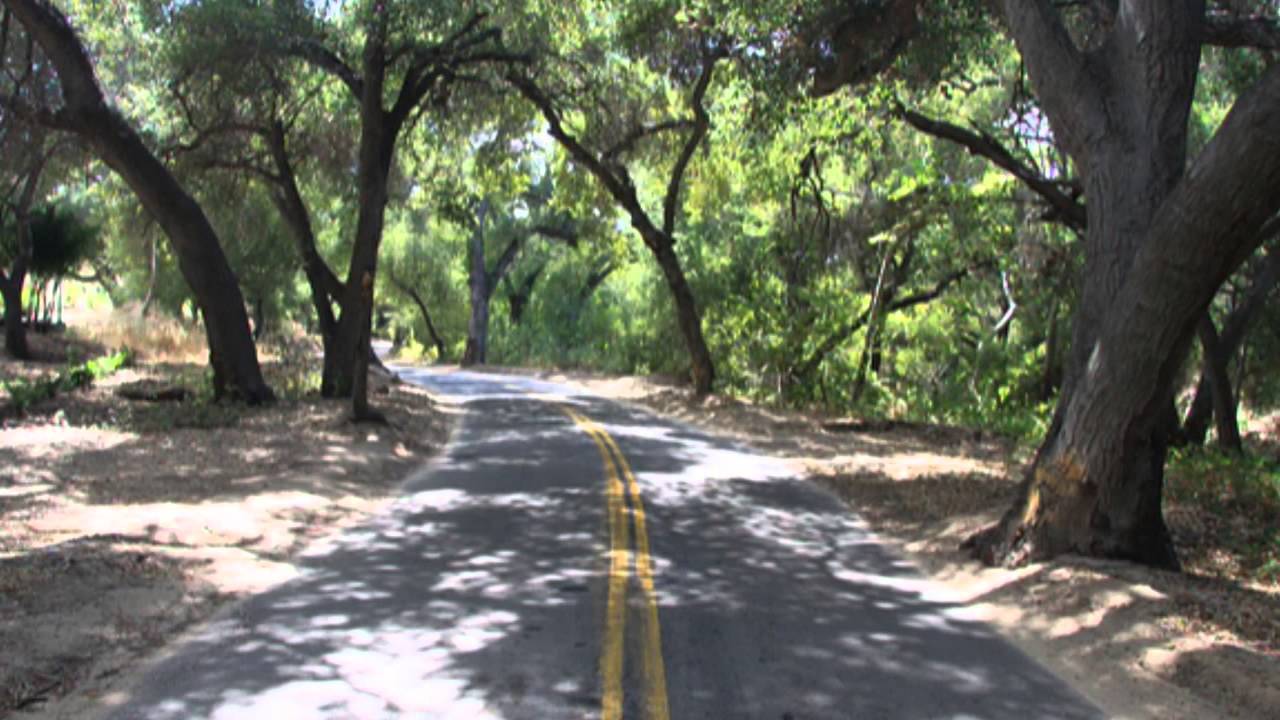 Fallbrook-variety-housing-Sunshine-Properties-Real-Estate
