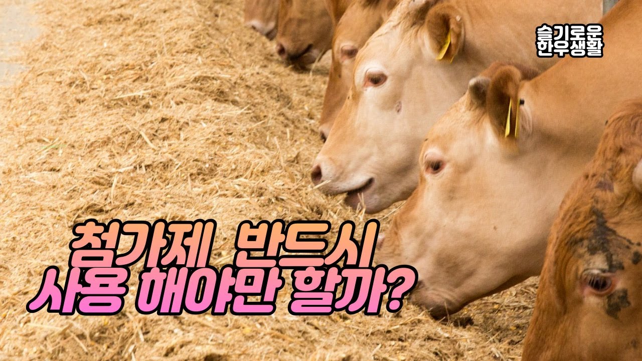 한우 첨가제는 반드시 사용해야 하는 것일까? 올바른 첨가제의 이해와 활용
