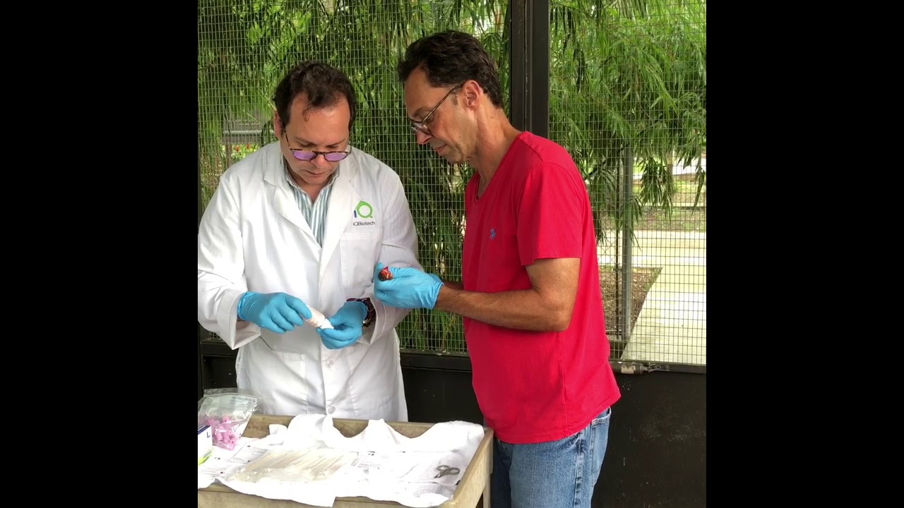 Tony Silva and IQ Bird Testing - testing a flock of rescued lovebirds