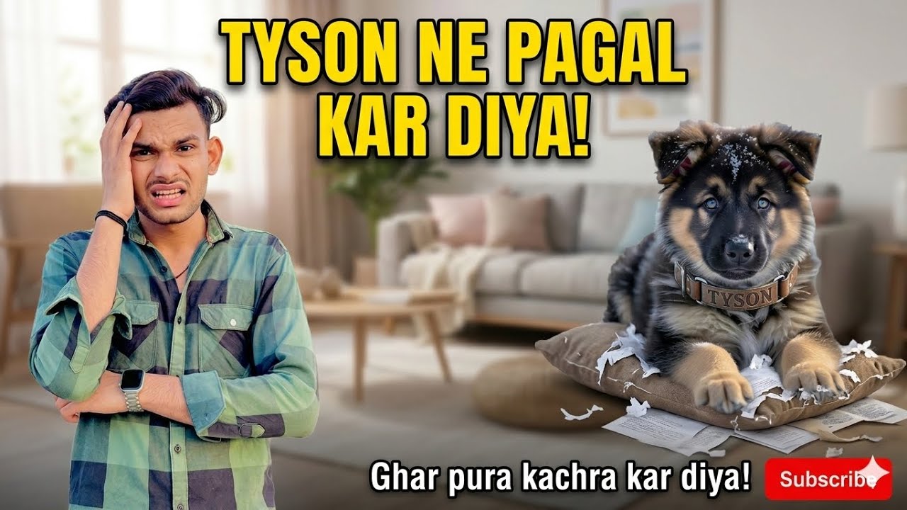 TYSON NE PAGAL KAR DIYA! 😡🐾 (Ghar ka kya haal kar diya?) #newpuppy #newpet #tysonjarmansefad