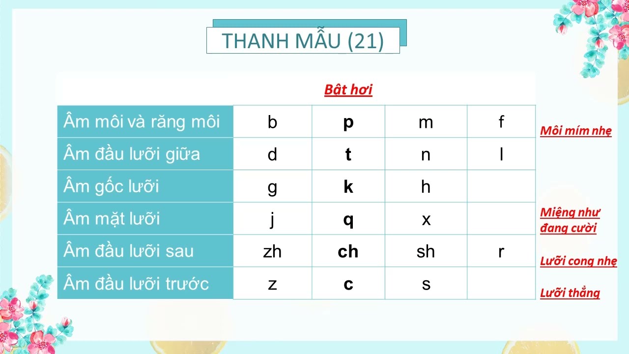 Thanh mẫu vận mẫu