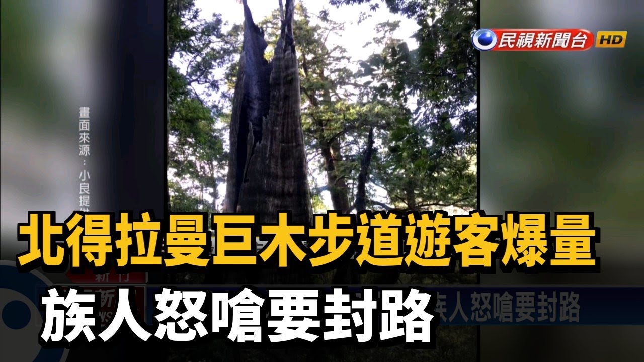 北得拉曼巨木步道遊客爆量 族人怒嗆要封路－民視新聞