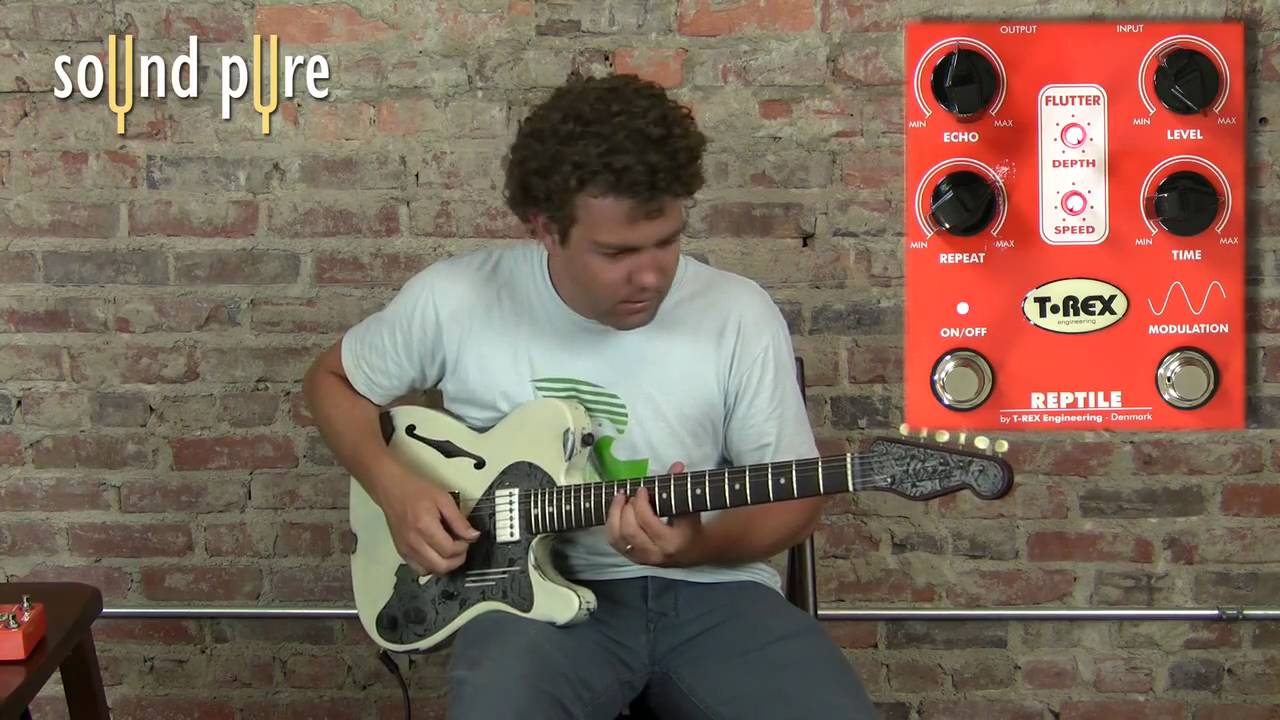 T-Rex Reptile Delay Effects Pedal w. Trussart Steelcaster Guitar