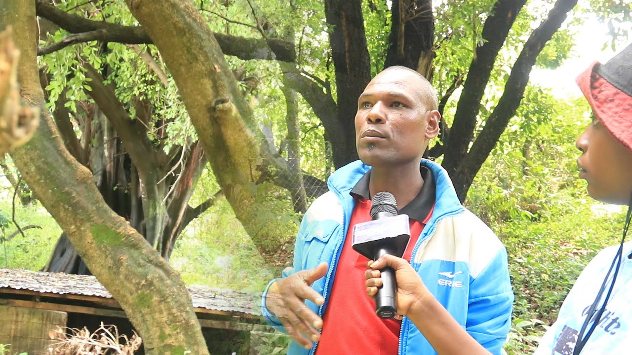 HUU NDIO MSITU WA KUTISHA NDANI YA MLIMA HANANG, WANAPO FANYIA IBADA ZA KIMILA