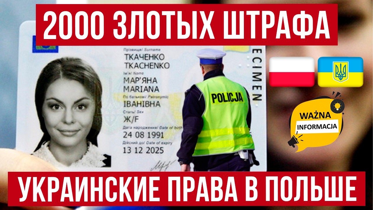 В Польше штраф 2000 злотых! За что наказывают украинских водителей?