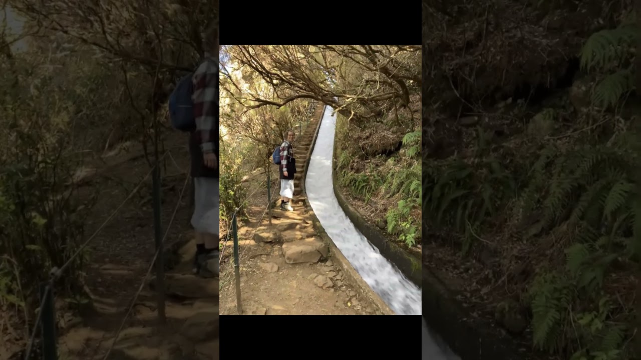 Madeira Levada do Alecrim Himmelstreppe #levadas #levada #madeira #hiking