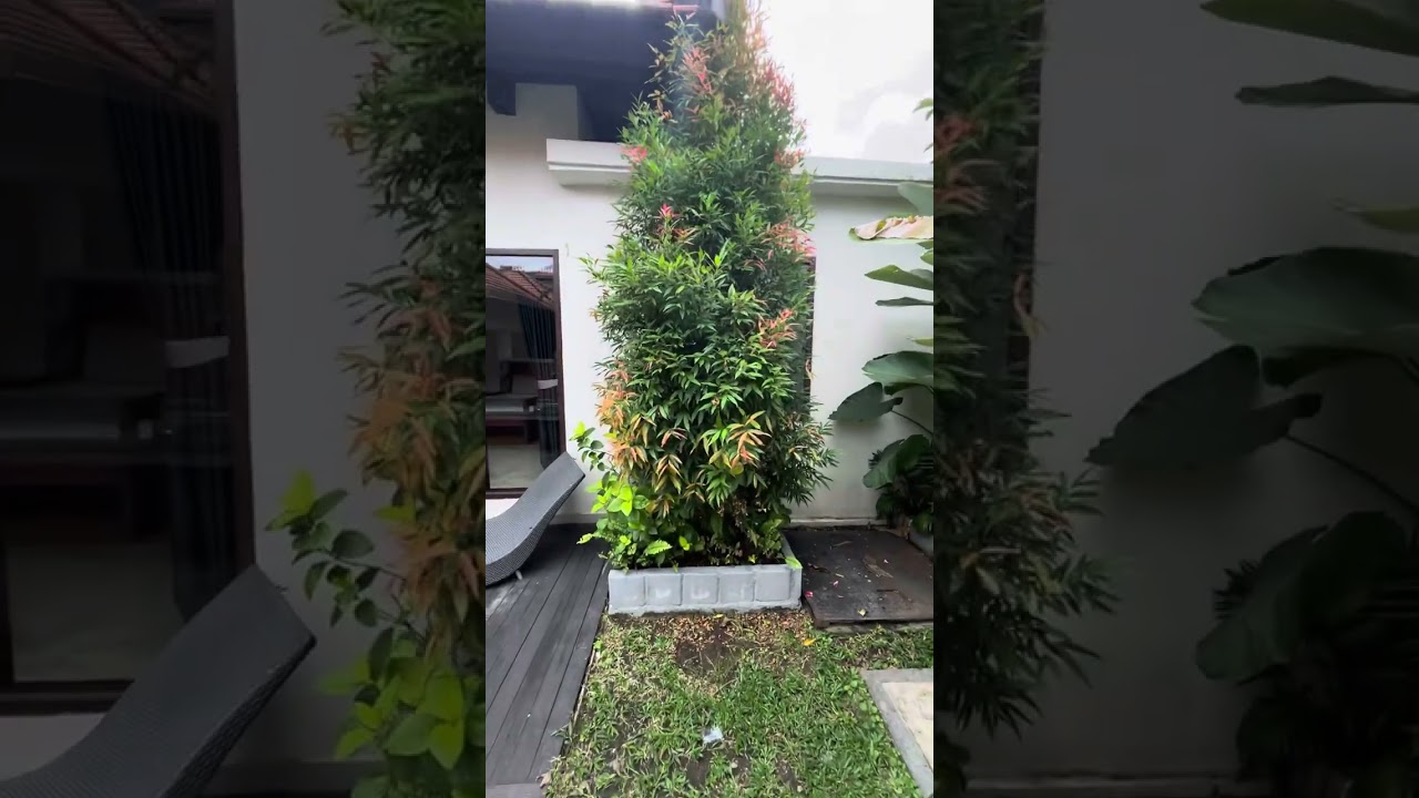 Villa BGN 2 (Seminyak 3BR)