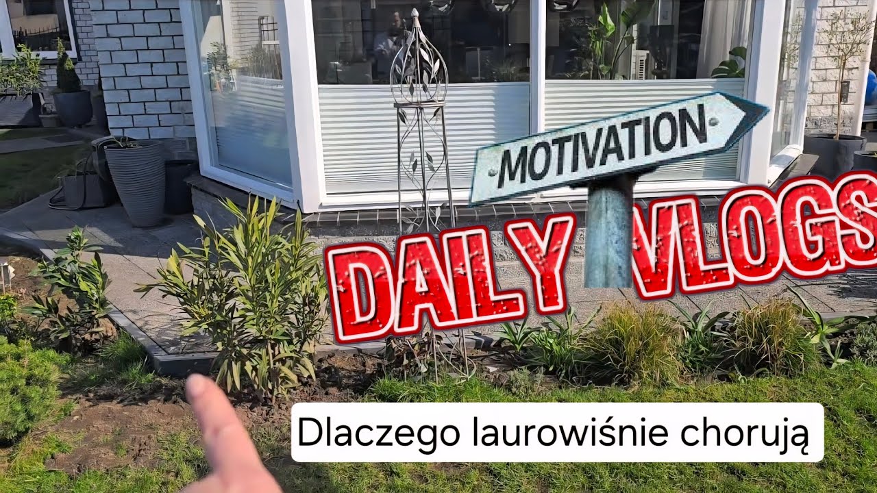Ogrodowo,remontowo,dekoracje wielkanocne, zdrowe polączenie gorzkiej czekolady