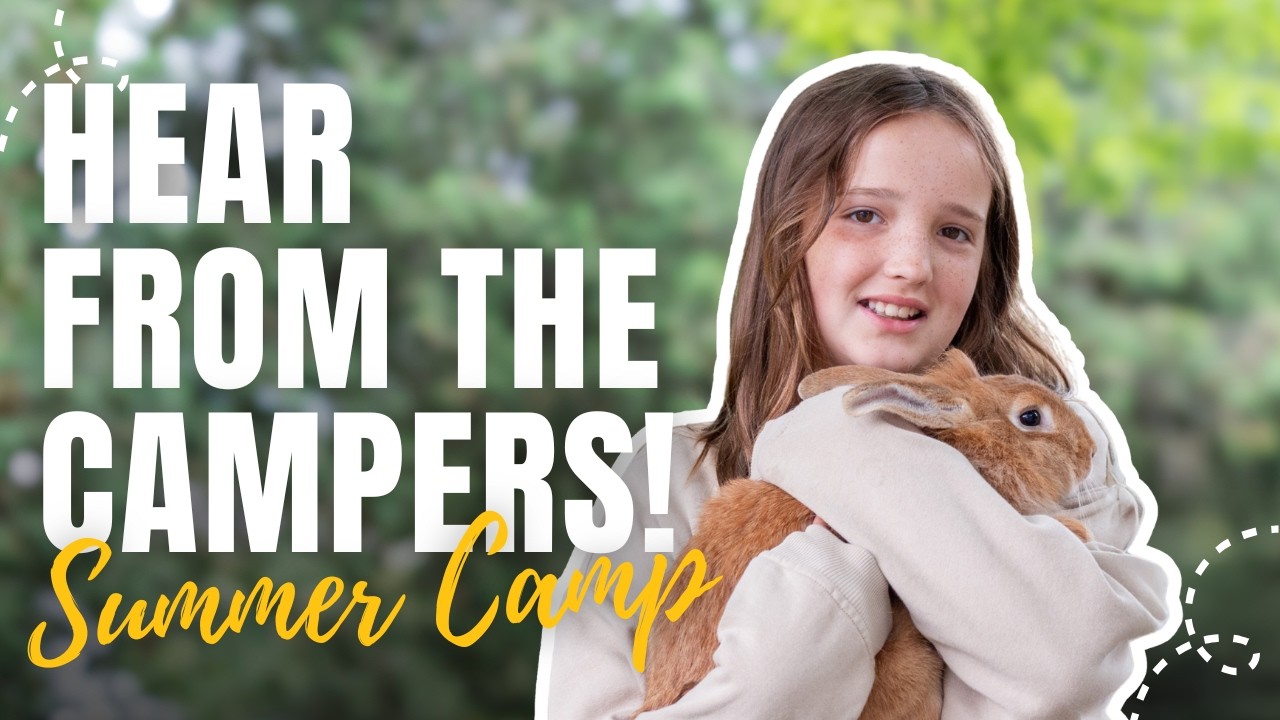 The Teen Ranch Camp Experience