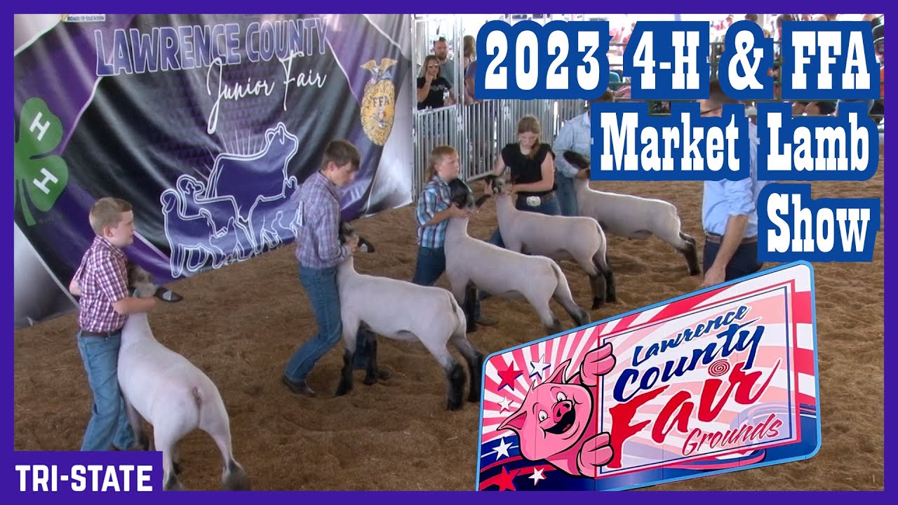 4-H & FFA Market Lamb Show